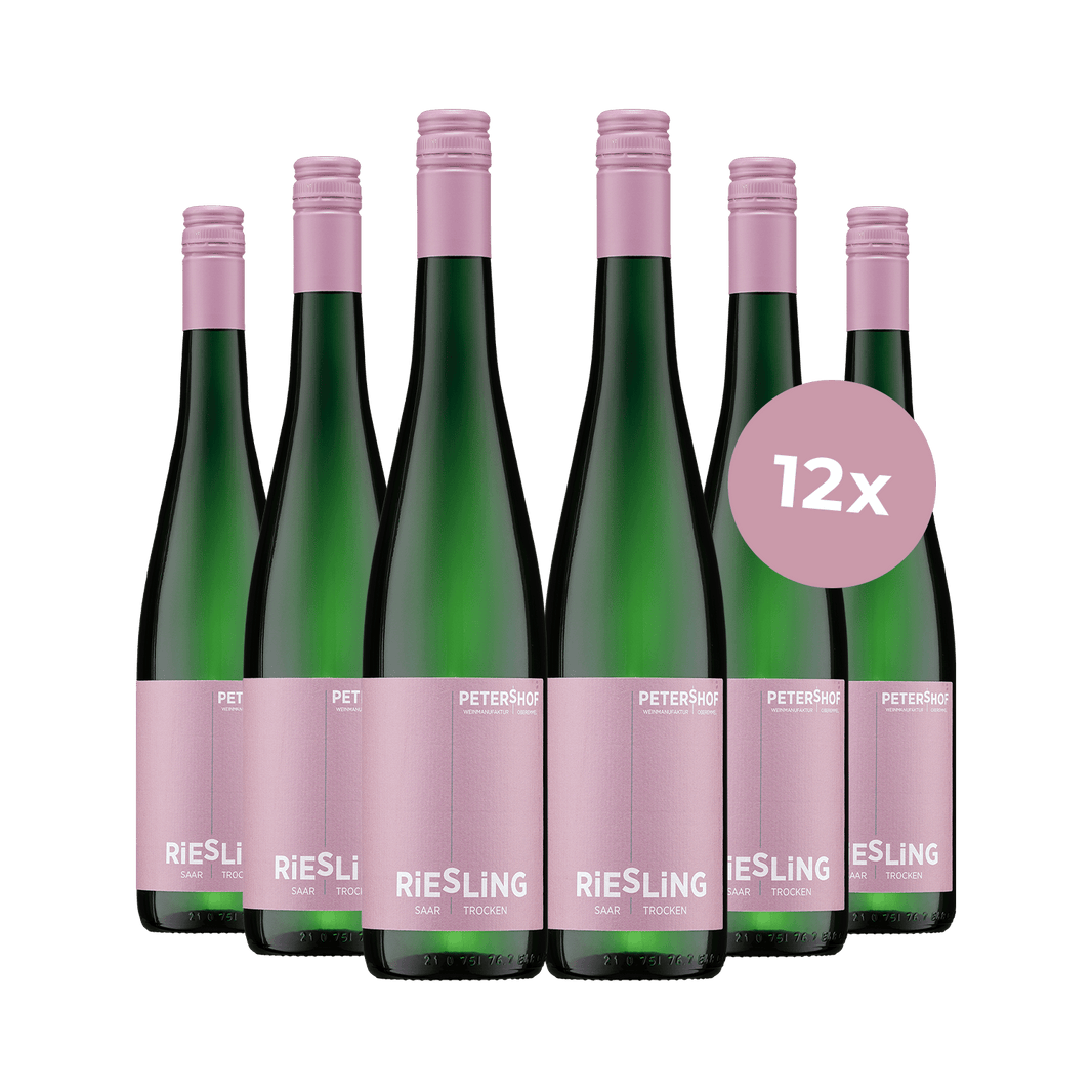 12 x 2023 Saar Riesling trocken