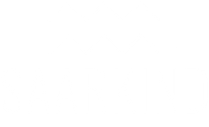 Footer Logo 2